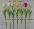 SINGLE TULIP