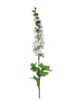 Delphinium
