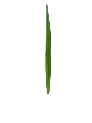 Ҷ,ҶͲ