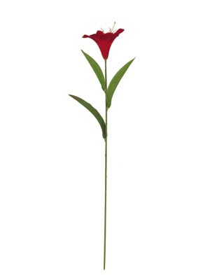 ٺ,ٺ