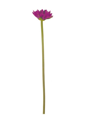 ,