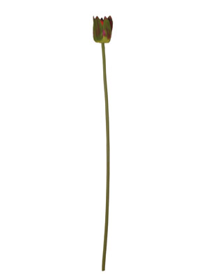 ,