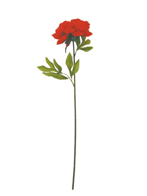 ĵ,ĵ
