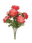 Peony