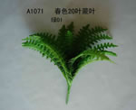 Leaves