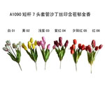 Tulip