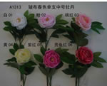Peony