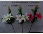 Lily