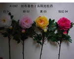 Peony