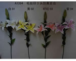 Lily
