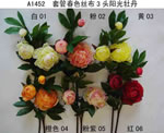 Peony
