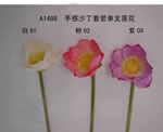 Lotus flower