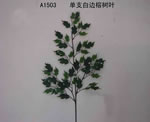 Leaves