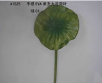 Lotus flower