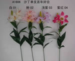 Lily