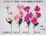 Orchid