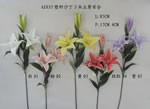 Lily