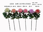 Peony