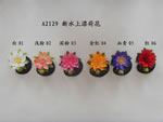 Lotus flower