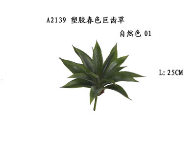 Ҷ,ҶͲ
