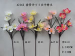 Orchid
