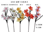 Orchid