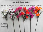 Orchid