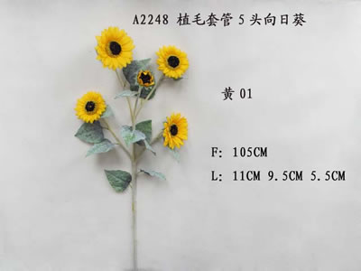 տ,տ