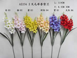 Orchid
