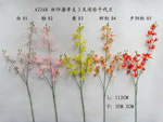Orchid
