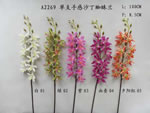 Orchid
