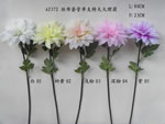 Chrysanthemum