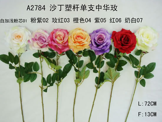 ²Ʒ,²Ʒ